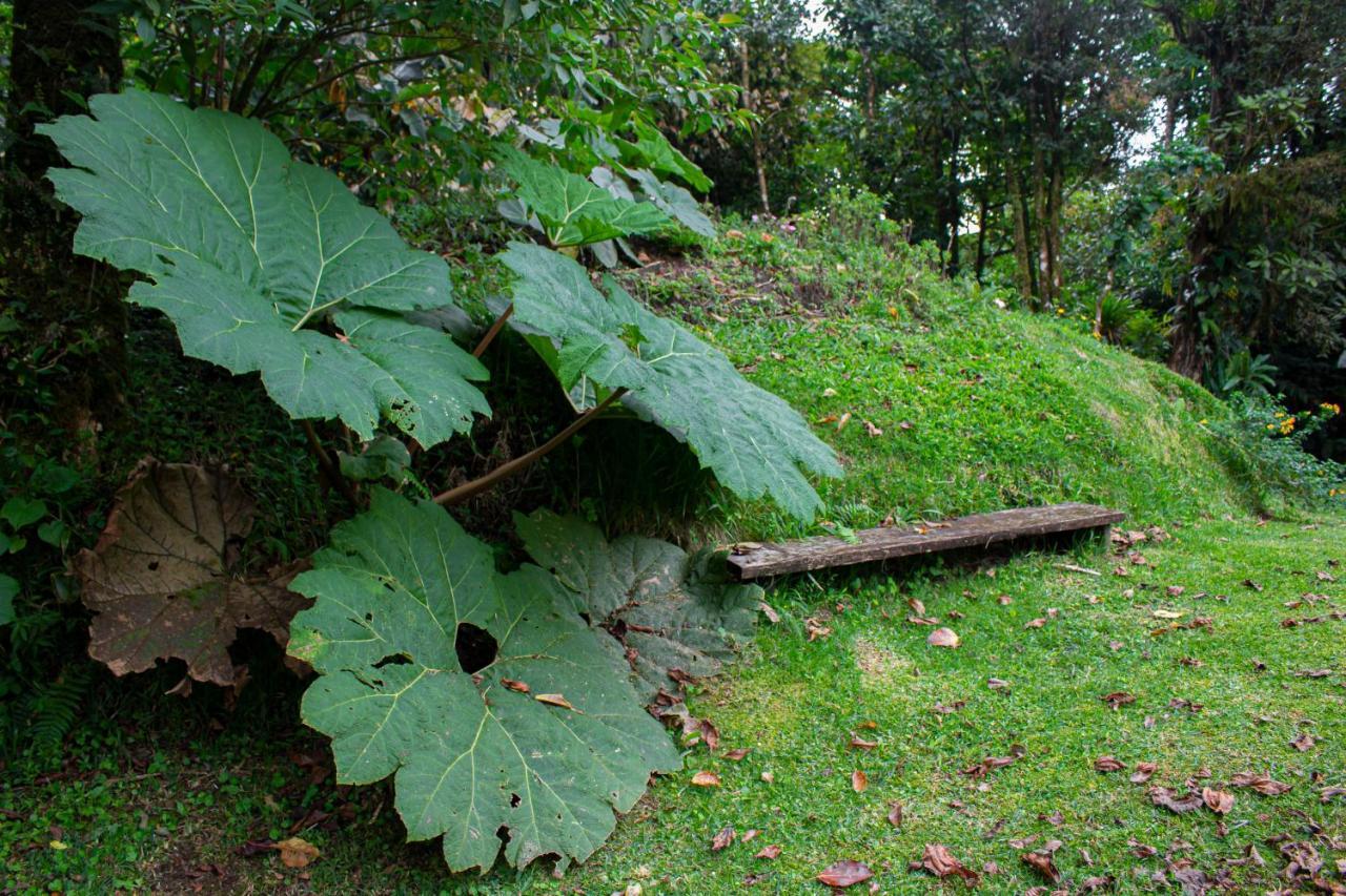 Burbi Lake Lodge Monteverde Exterior foto